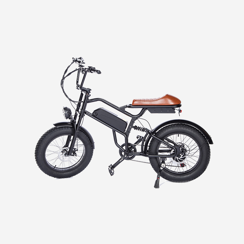 Electric Fat Tire Mountain Bike 48V 500V brushless hub high-speed motor