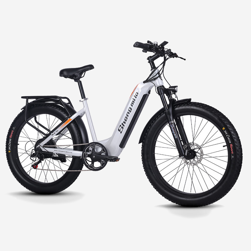 Shengmilo MX06 Electric Mountain Bike 500W Fat Tire Beach Cruise for Men Offroad Ebike with Rear Hub Motor EU Warehouse